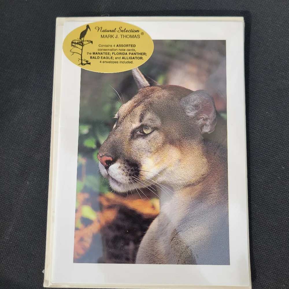 Wildlife Greeting Card Set ~ Christmas ~ Florida Photography ~ Vintage Cards